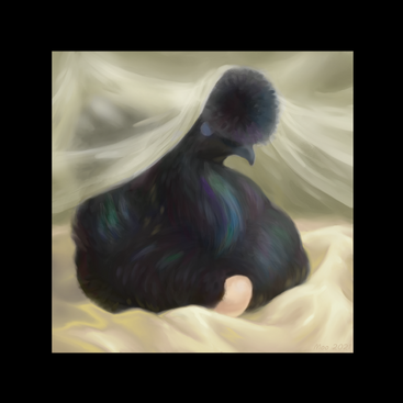 a black silkie chicken cares for a single egg in front of a white cloth backdrop