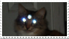 photo manipulation of a cat with three glowing eyes stamp