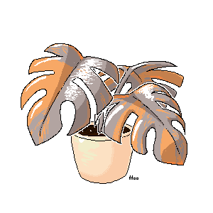 animated pixel art of an orange and gray variegated monstera plant
