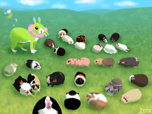 a delightful herd of guinea pigs, real and imagined.