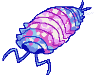 a blue pink and white isopod